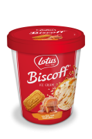 Lotus biscoff ice cream